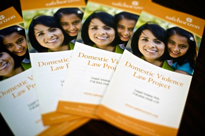 domestic-violence-law-project-dvlp-safe-horizon