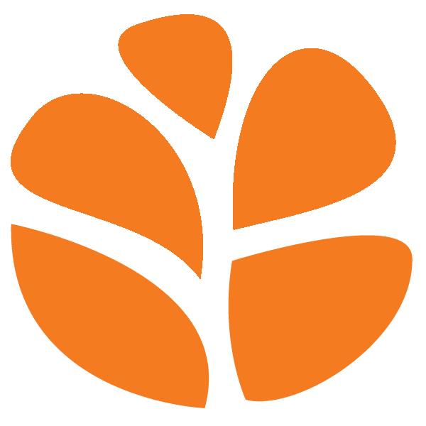 Safe Horizon Domestic Violence